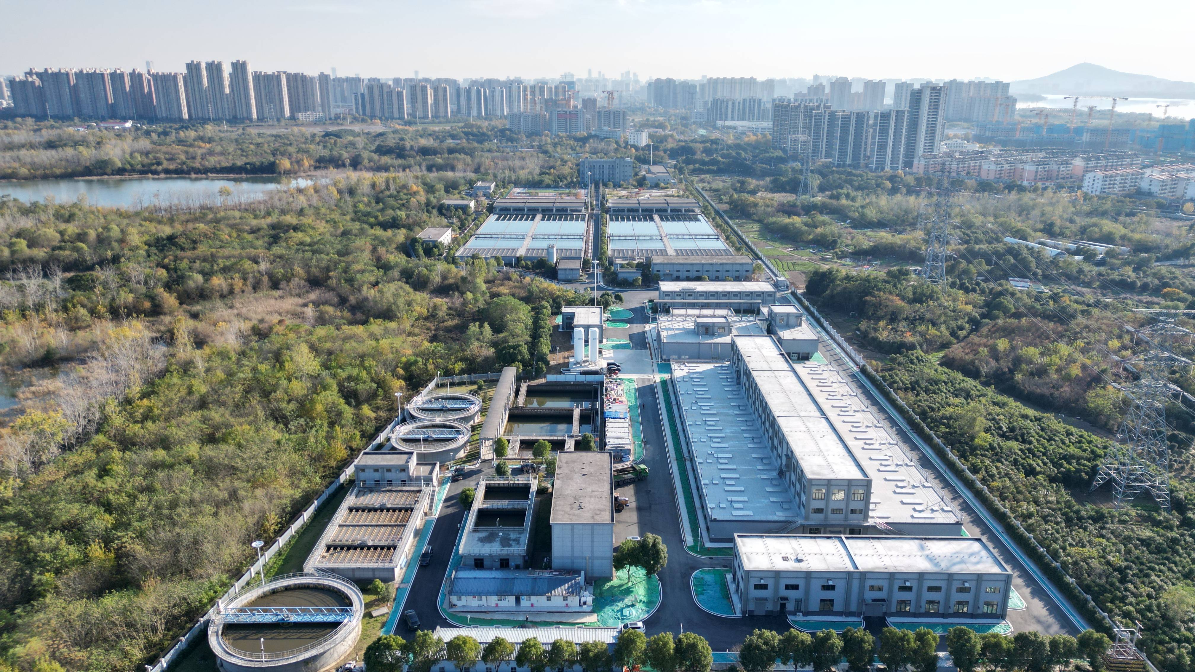台中市合肥专业企业价值增长(合肥市重点企业产业目录)