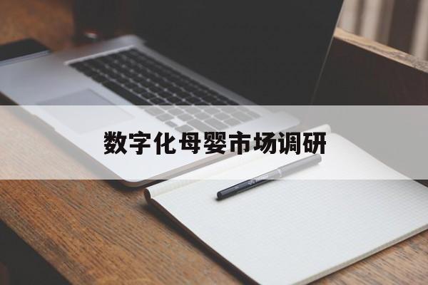 台中市数字化母婴市场调研(数字化母婴市场调研报告)